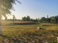 -汉长安城未央宫国家考古遗址公园