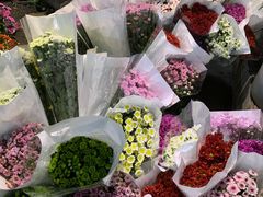 -循礼门鲜花花市(武汉循礼门店)