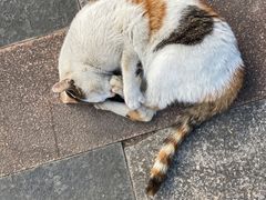 -苏州河梦清园环保主题公园