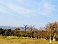 -钟山体育运动公园