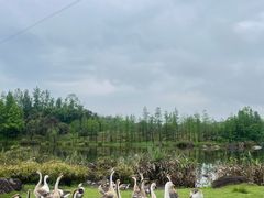 -两江国际影视城
