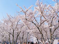 -龙美术馆(西岸馆)