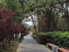 -绿堤公园