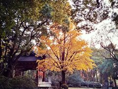 -汇龙潭