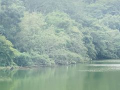 -李小龙乐园(顺德均安店)