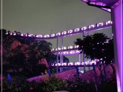 -仙岳公园