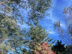 -玉渡山自然风景区