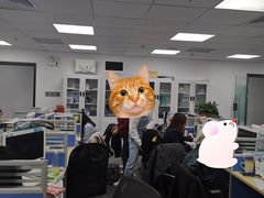 -新航道雅思托福·留学·考研培训(人民广场校区)