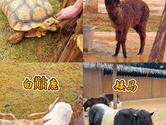 -福州罗源湾海洋世界旅游区
