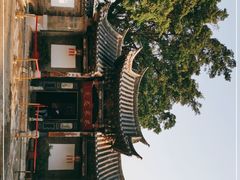 -朱家花园
