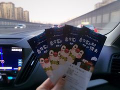 -丁香湖丁香小镇Citypark滑雪公园戏雪嘉年华