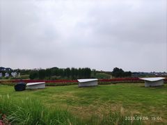 -空港花田景区