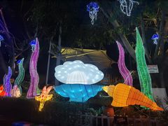 -海合安成都极地海洋公园