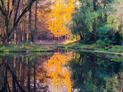 -上海共青森林公园