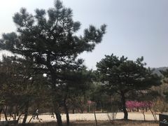 -北京西山国家森林公园