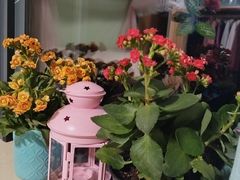 -大润发(康桥店)