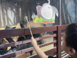 -酷嗒动物文化乐园(cutezoo西溪乐天城店)