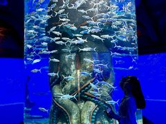 -波塞冬旅游度假区