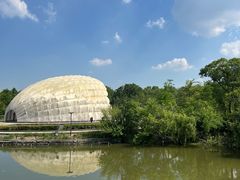 -吴淞炮台湾湿地森林公园烧烤区