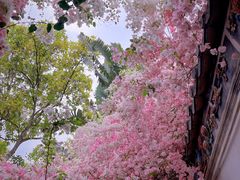 -深圳国际园林花卉博览园