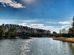 -东郊湿地公园