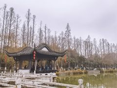 -包公祠
