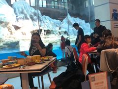 -帝企鹅自助餐厅•儿童岛•真企鹅(长隆企鹅酒店)