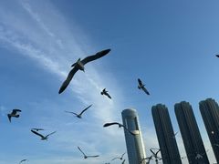 -星海广场