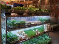 -鲜货俚鲜火锅(青果路店)