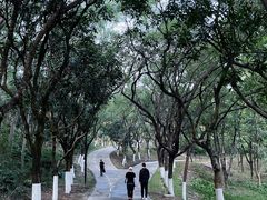 -燕晗山郊野公园