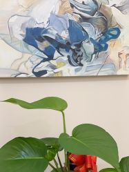 -禾美嘉医疗美容