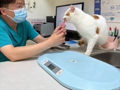 -美联众合24小时·皮肤科·外科·全科诊疗中心(华苑分院)