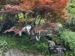 -十八棵（老龙井）御茶园(老龙井店)