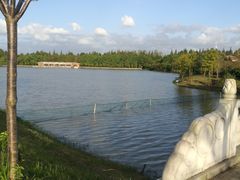 -上海海湾国家森林公园