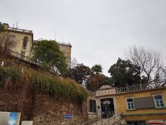 -上海佘山国家森林公园西佘山园