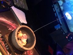 -地球美食剧场