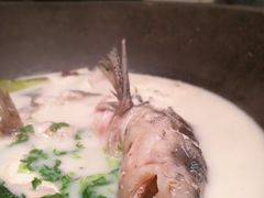 原味原汁锅-鲜潭蒸汽石锅鱼(五道口购物中心店)
