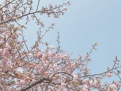 -上海辰山植物园