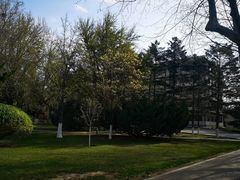 -大连理工大学(凌水校区)