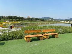 -光明小镇欢乐田园