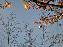 -西北湖绿化广场