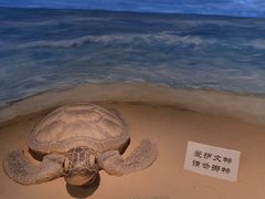 -嘉定博物馆