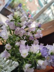 -花隐·美芙炫海菲秀皮肤管理中心