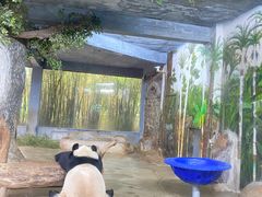 -海南热带野生动植物园