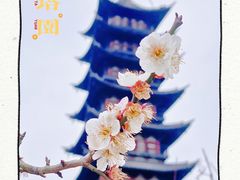 -上海方塔园