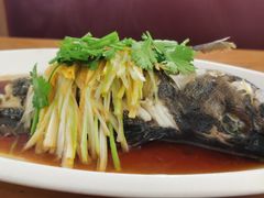 -匠心二十五年·百姓海鲜烧烤家常菜(威至海港湾店)