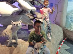 -华夏文旅海洋公园