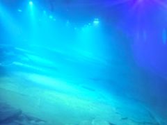 -白鹤梁水下博物馆