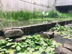 -中国湿地博物馆