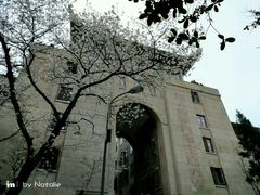 -武汉大学-樱园